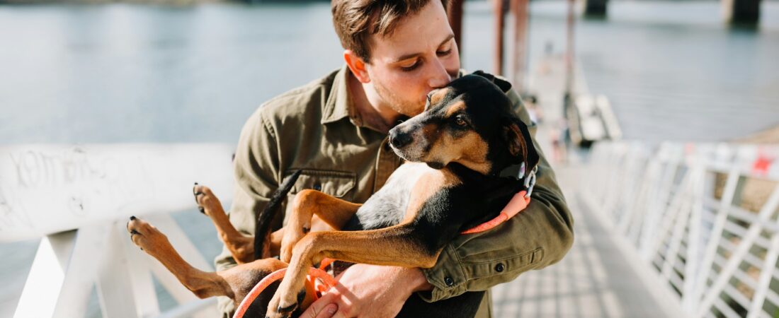 How to Deal with Pet Loss