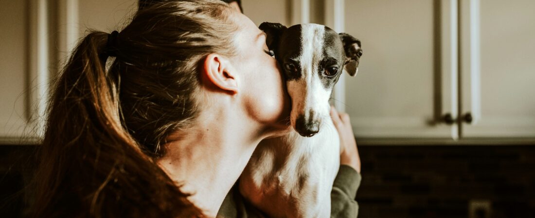 25 Heartfelt Pet Memorial Ideas to Honor a Beloved Companion