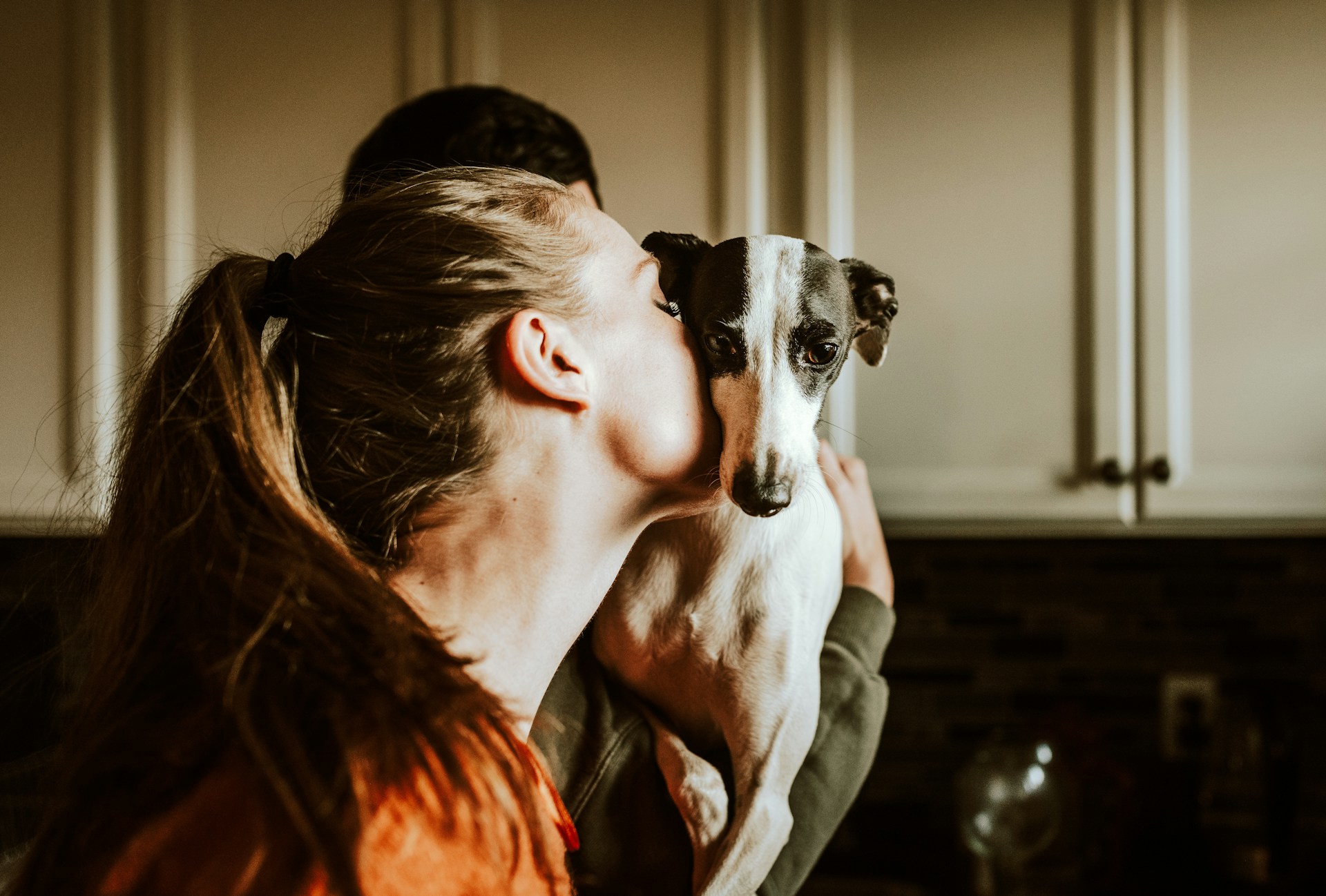 25 Heartfelt Pet Memorial Ideas to Honor a Beloved Companion