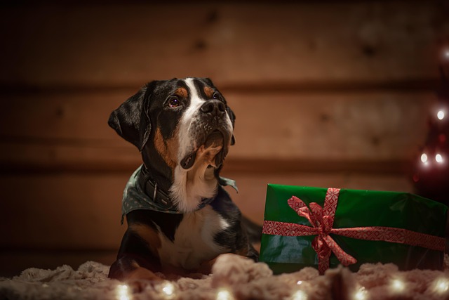 25 Thoughtful Pet Loss Gifts Ideas That Bring Comfort During Grief