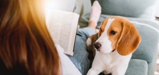 100 Bible Verses for Pet Loss That Bring Comfort and Hope