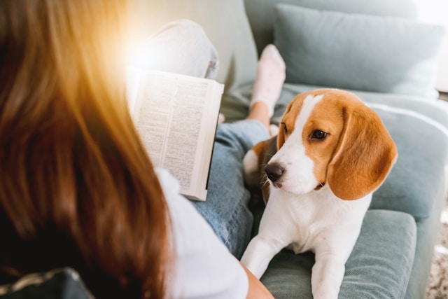 100 Bible Verses for Pet Loss That Bring Comfort and Hope